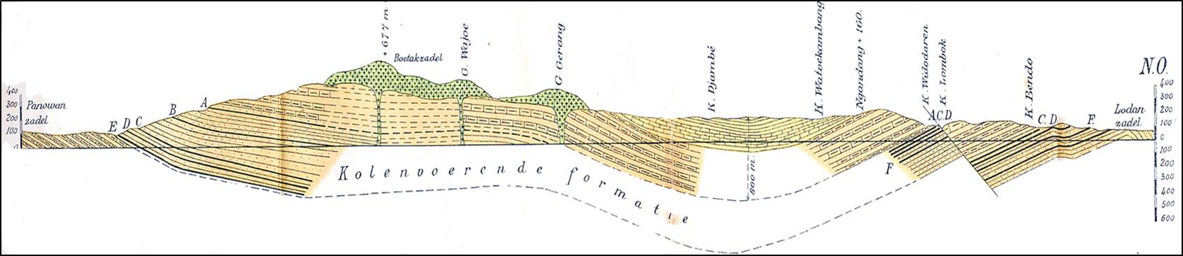 WSW-NE cross-section across Middle Miocene coal-bearing sediments of W Rembang zone NE Java